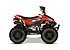 2021 Kayo Fox 70 for sale 201148666